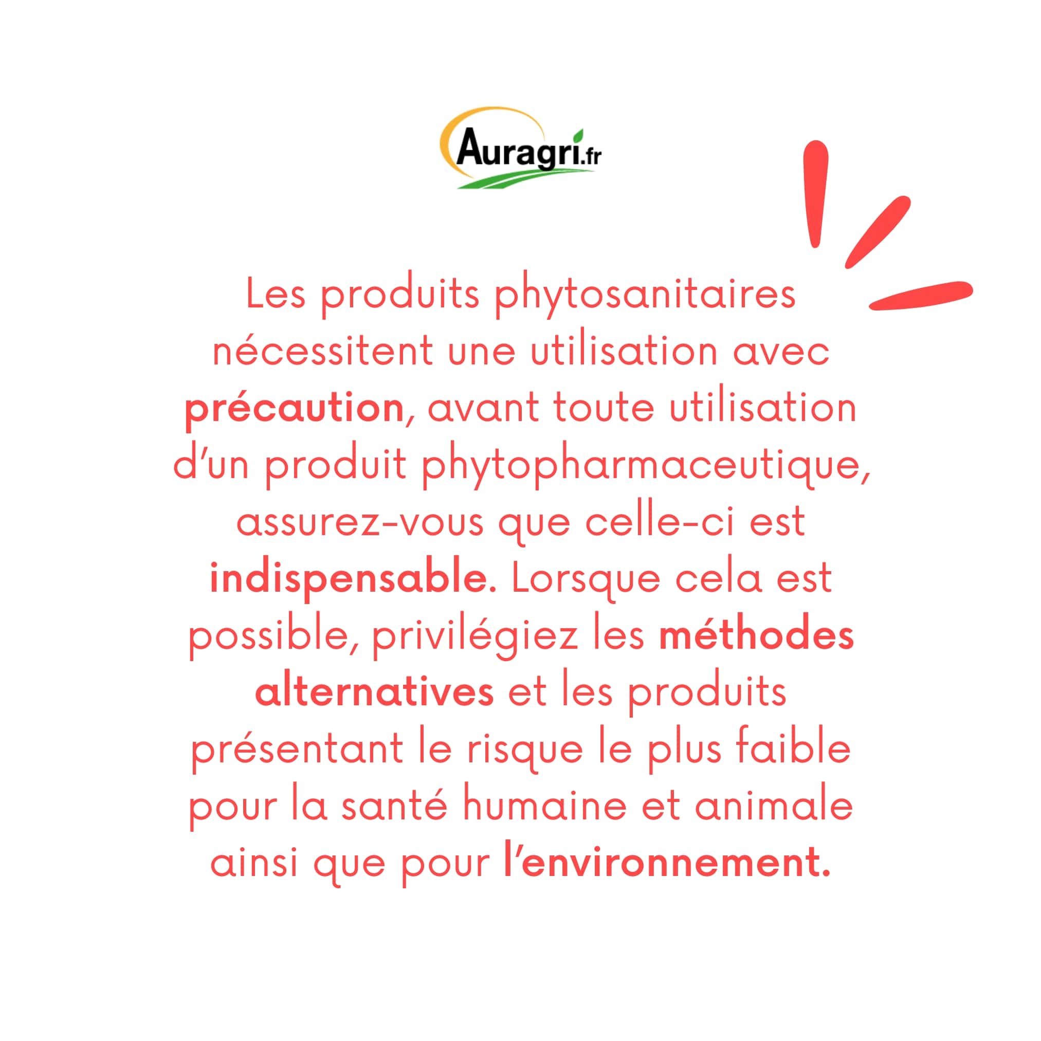 DEBROUSSAILLANT 2DP (5L) Sid Auragri